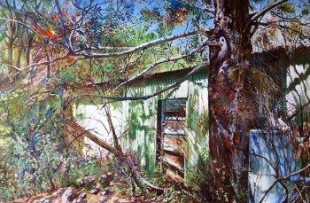 'Abandoned Shed reclaimed'  acrylic on canvas, 750 x 450 mm. SOLD