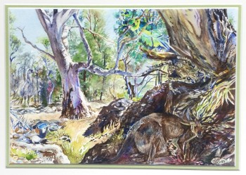 New Life at Mambray Creek, SA Watercolour, 400 X 500 framed. SOLD