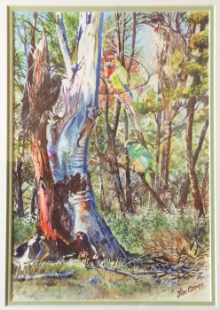 Life at Mambray Creek, SA Watercolour: 500 X 400 mm framed. SOLD