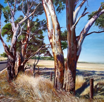 Red Gums , Strathalbyn Road Acrylic on canvas: 600 X 600 mm, SOLD
