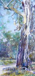 'Within Belair National Park', acrylic on canvas, 300 mm x 100 mm, SOLD